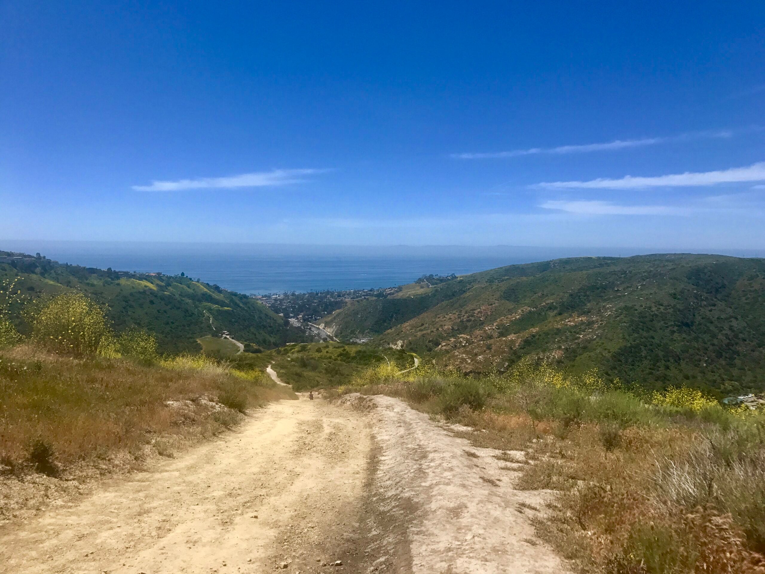 View from a dirt hiking trail overlooking a lush green canyon and the Pacific Ocean in Laguna Beach.