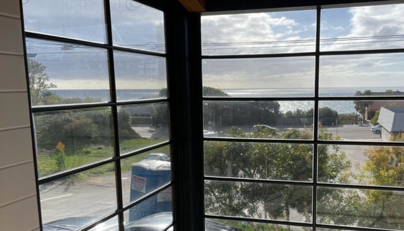 Compliant pre-existing view evidence for South Laguna property owners.