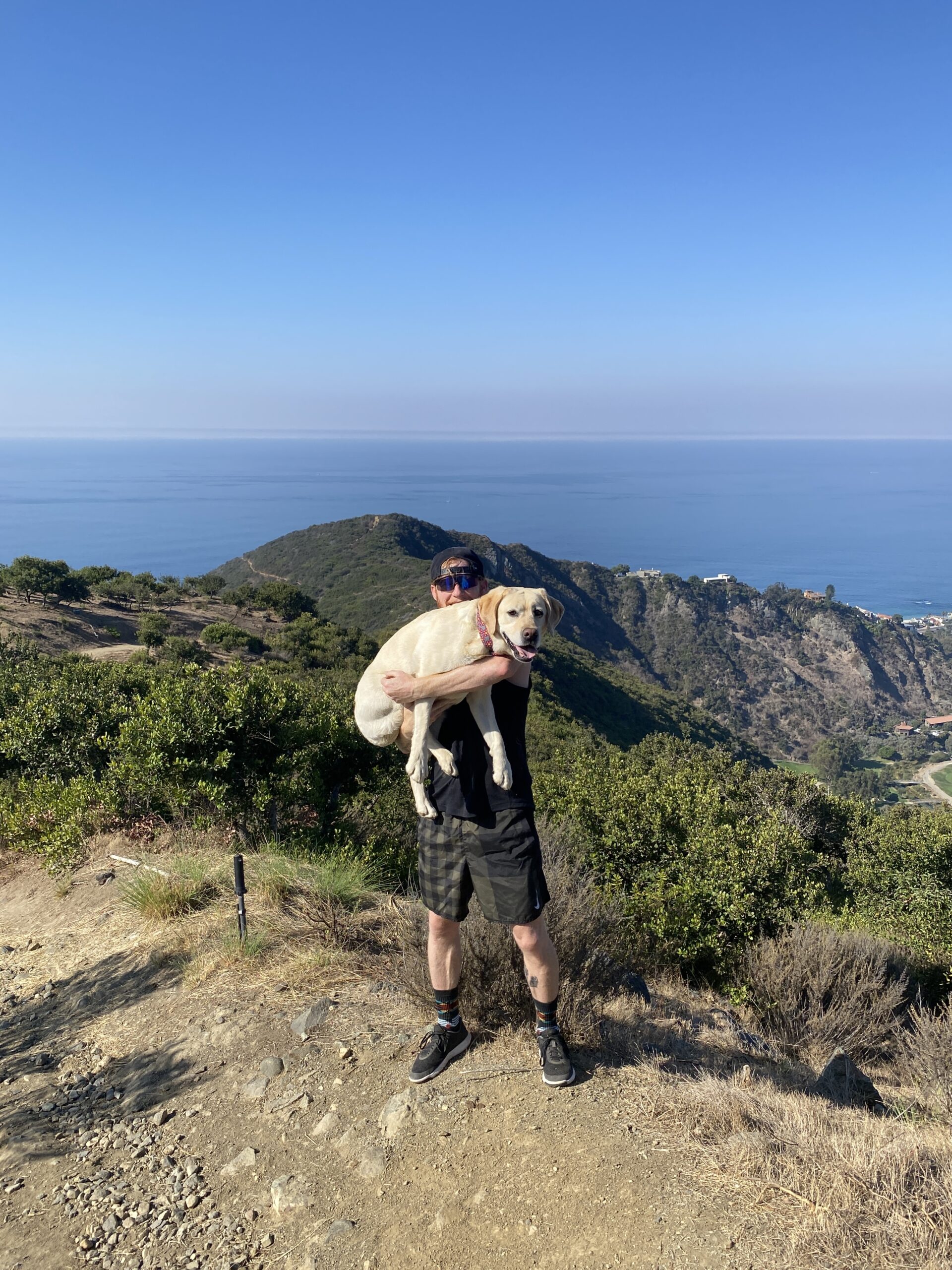 Michael Kovach holding a yellow Labrador at the summit of Aliso Peak trail in South Laguna, overlooking the Pacific Ocean coastline.