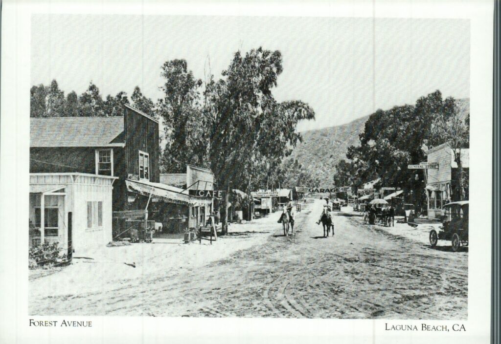Vintage black and white photo of Forest Avenue in Laguna Beach with horses, early automobiles, and large eucalyptus trees lining the dirt road.