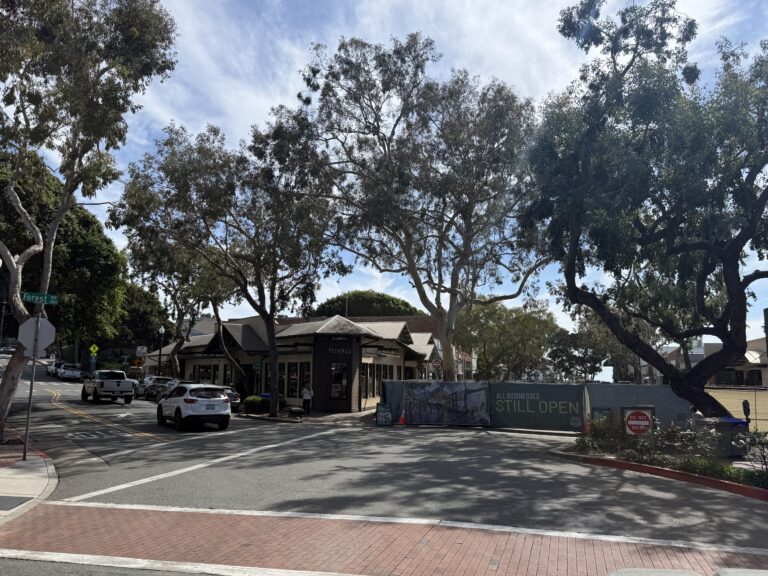 Street view in Laguna Beach showing construction barriers for the Promenade on Forest project with existing mature trees and traffic.